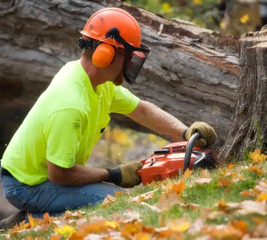 tree services Estancia